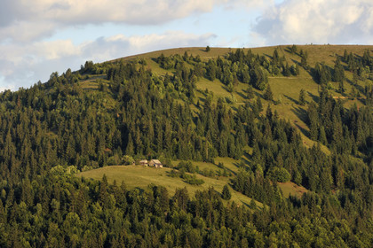 Roumanie, Apuseni