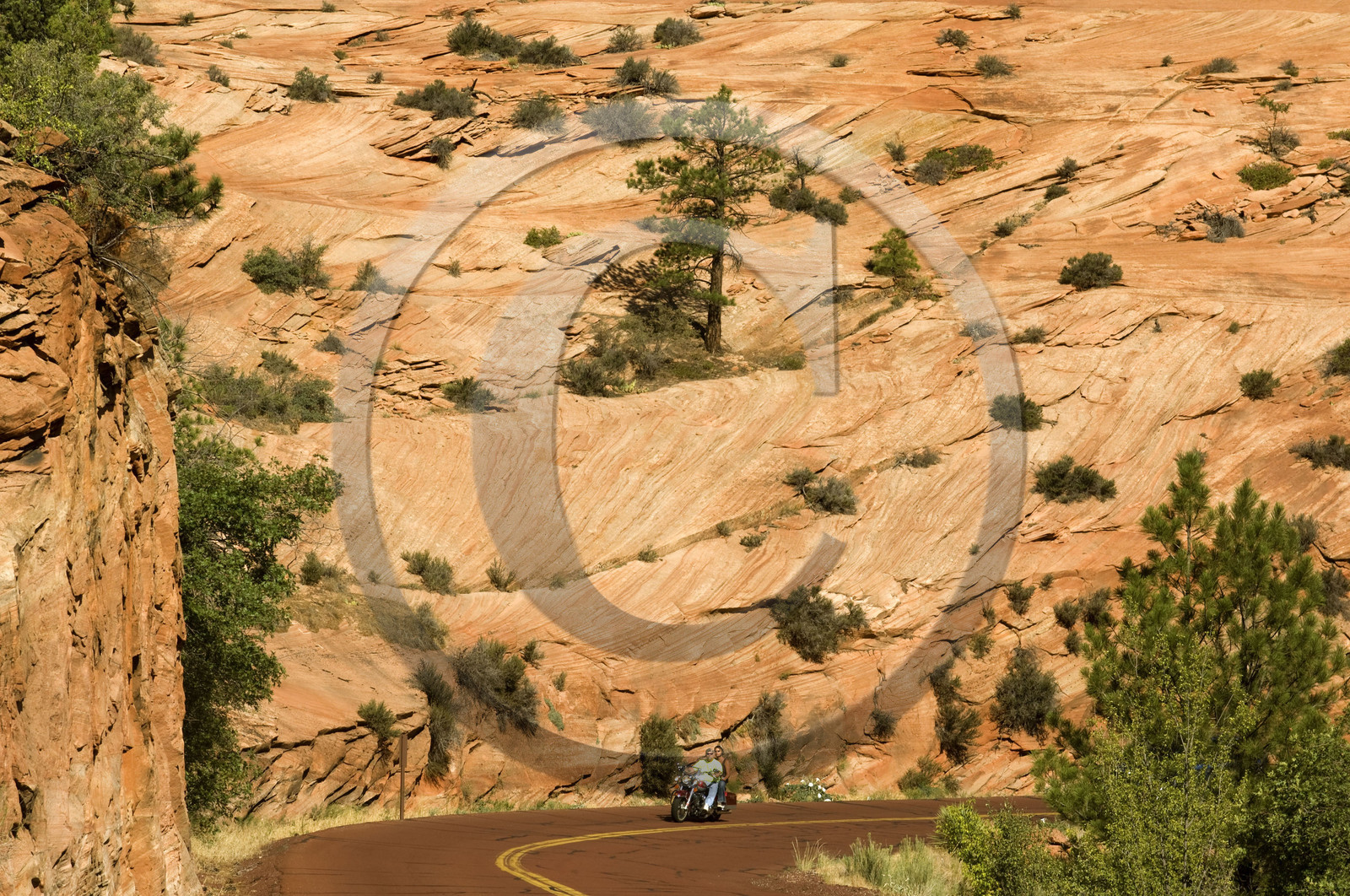 USA, ZION