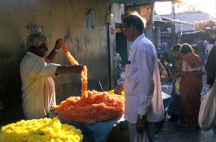 Inde du Sud