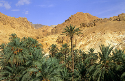 Chebika, Tunisie