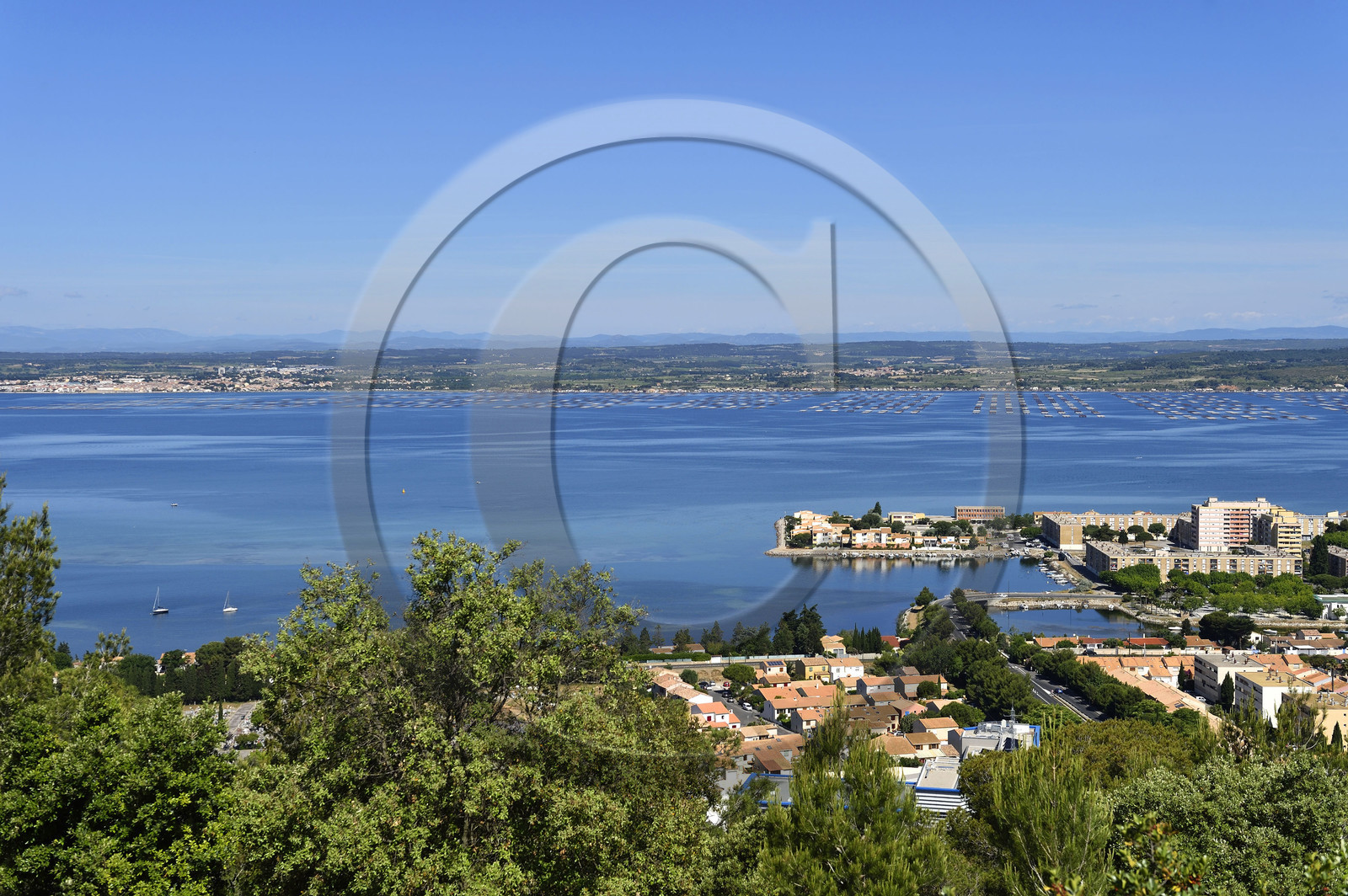 France, Thau