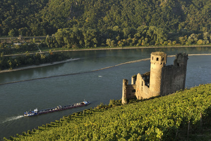 Allemangne, Rhin