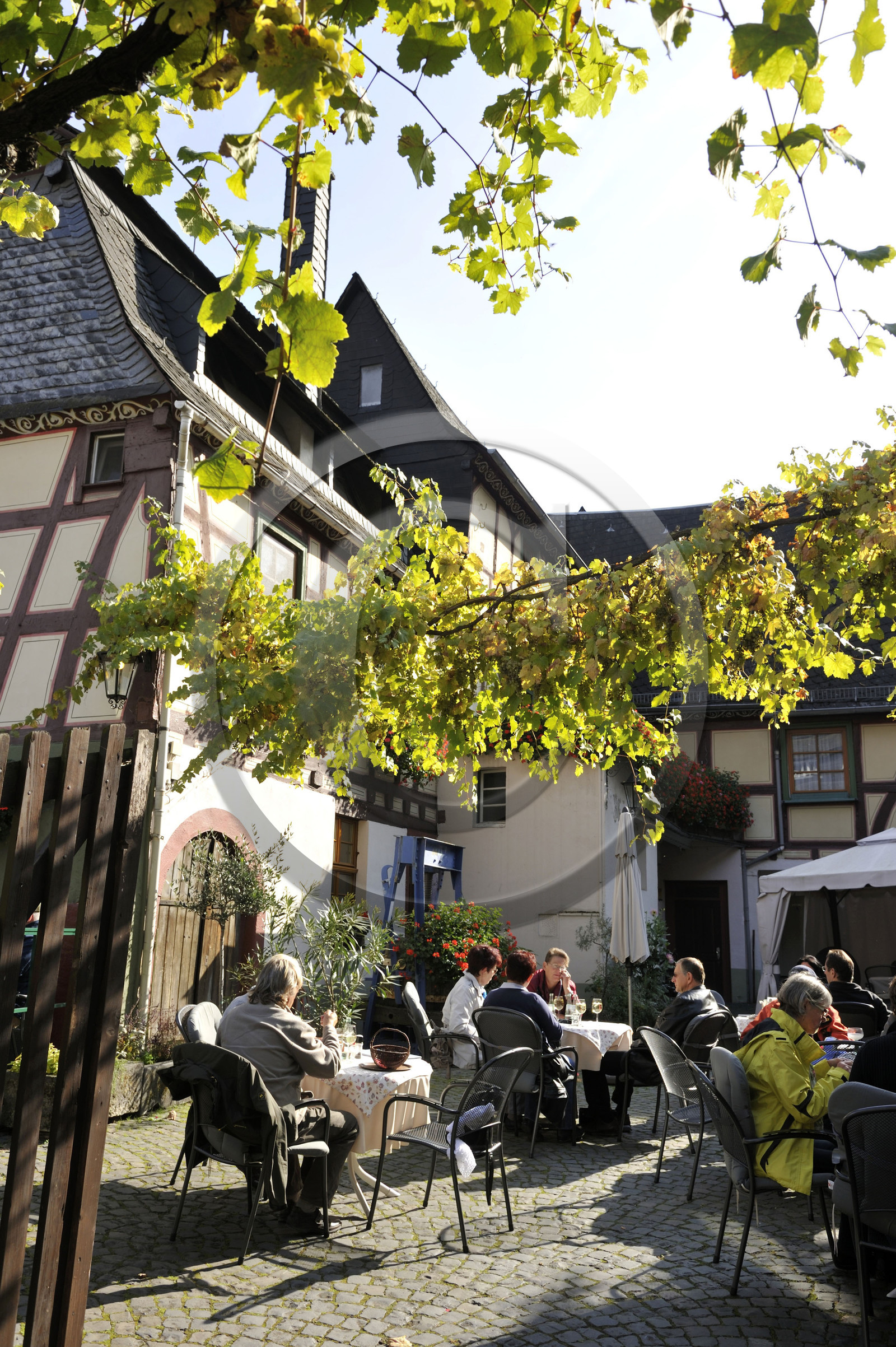 Allemagne, Rhin