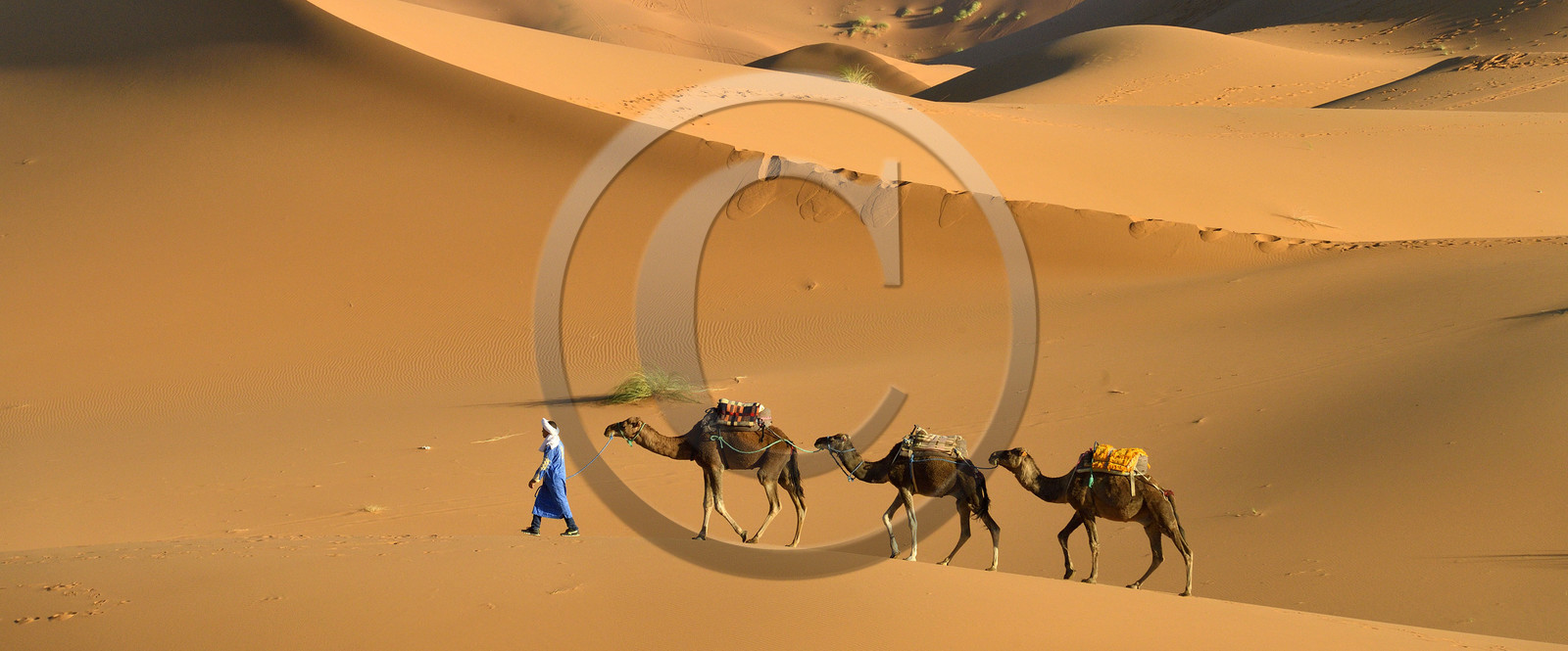 Maroc, Merzouga