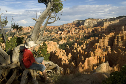 USA, BRYCE CANYON