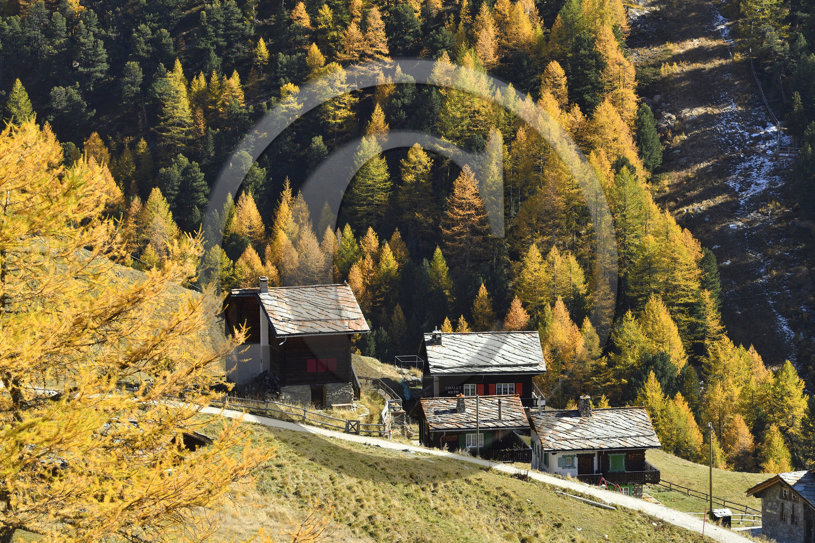 Suisse, Zermatt