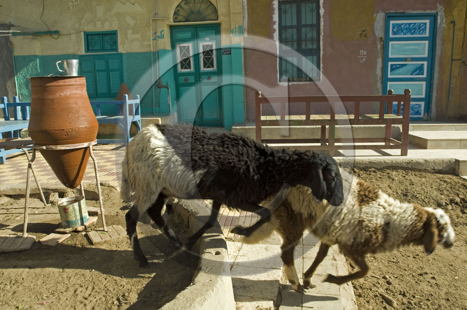 Egypte, Assouan