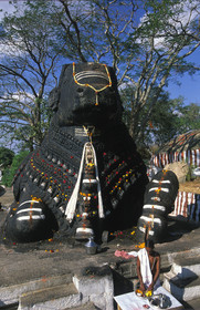 Inde du Sud