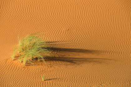 Maroc, Merzouga