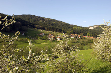 Allemagne, Forêt Noire
