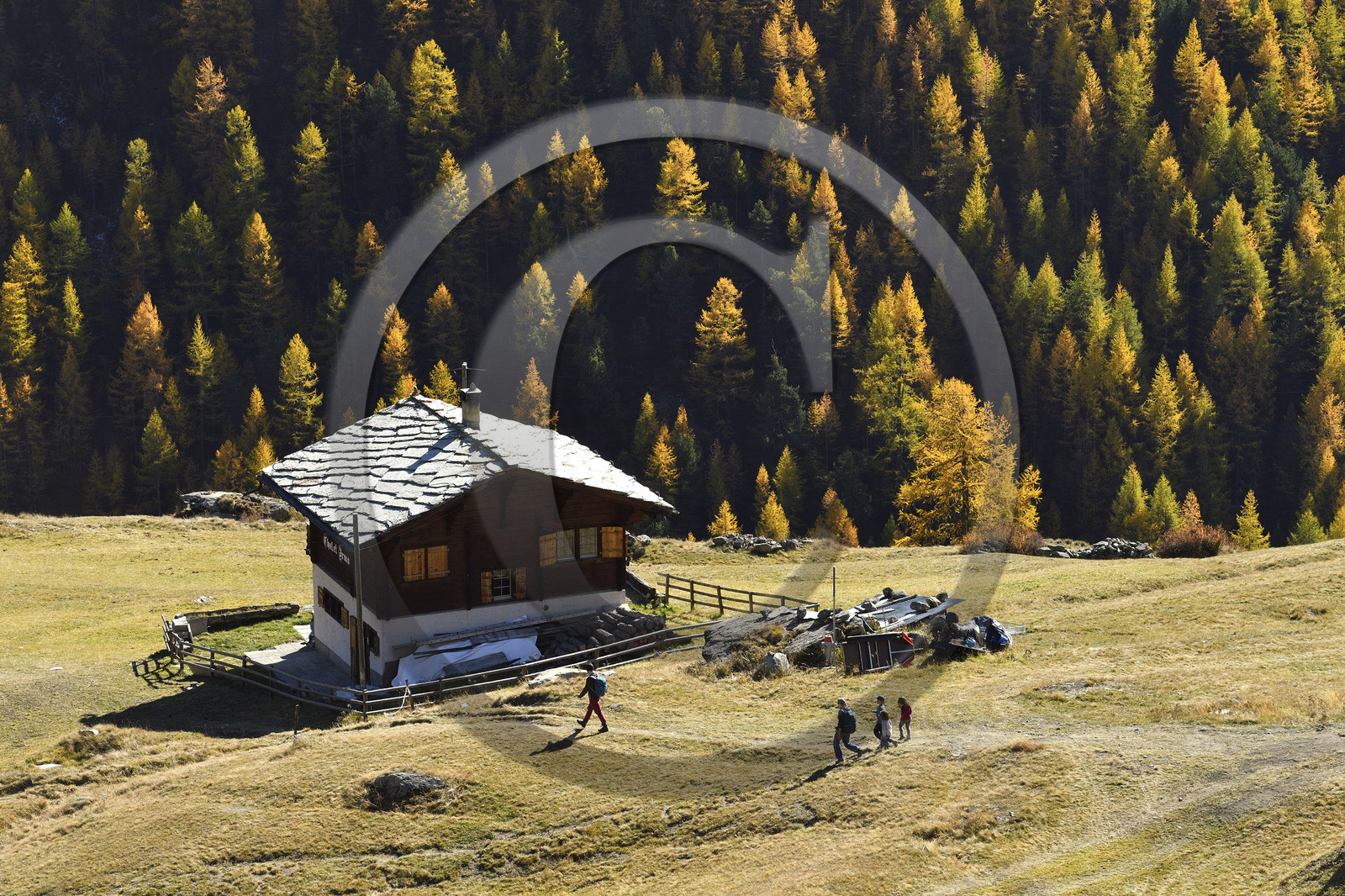 Suisse, Zermatt
