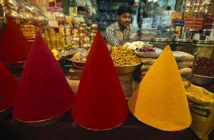 Inde du Sud