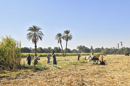 Egypte, Nil
