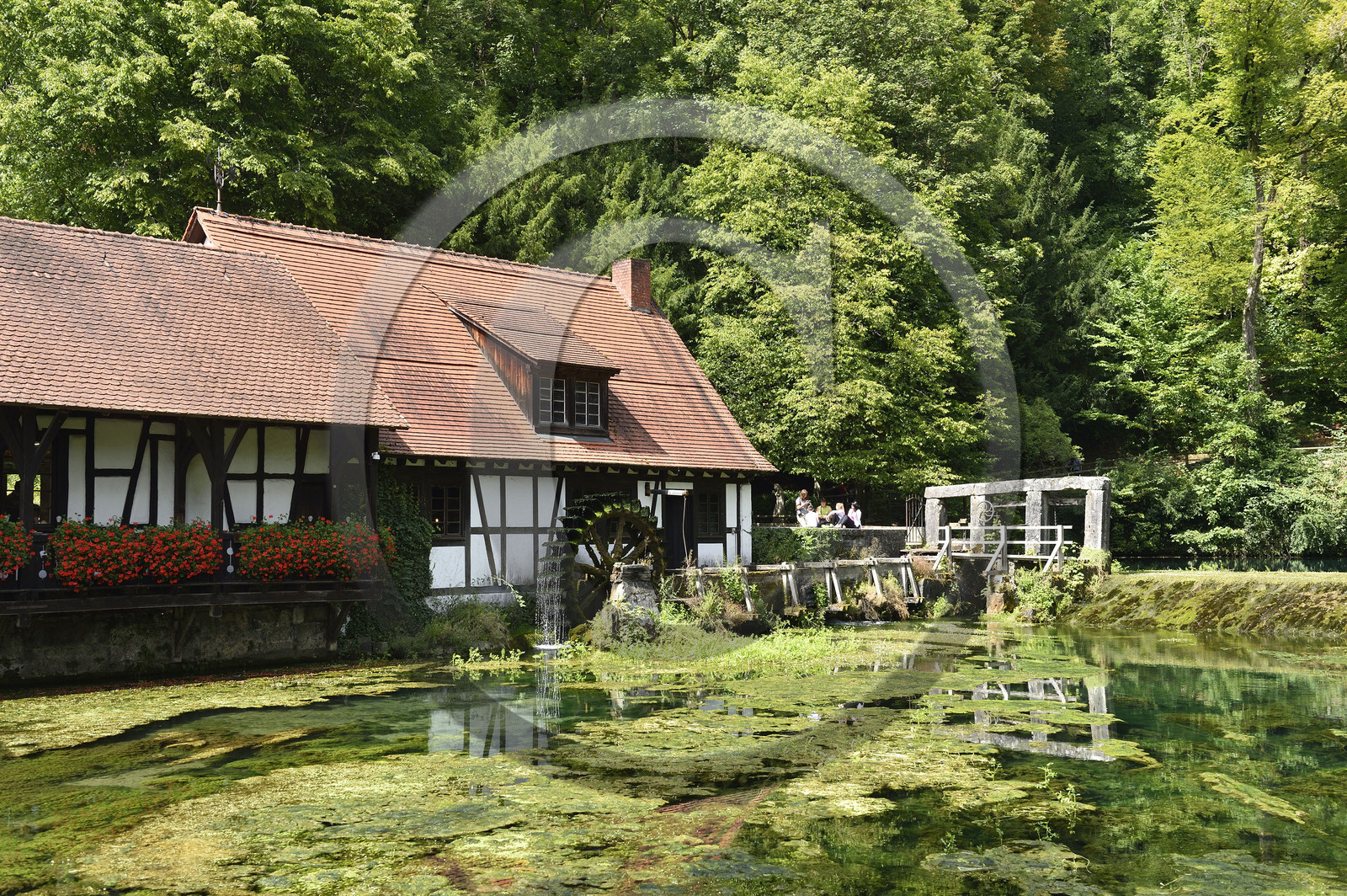 Allemagne, Blaubeuren