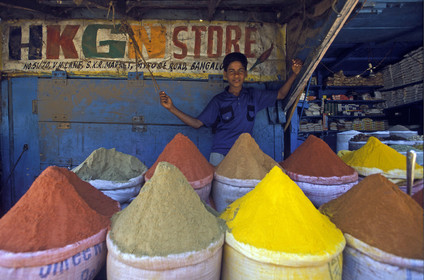 Inde du Sud