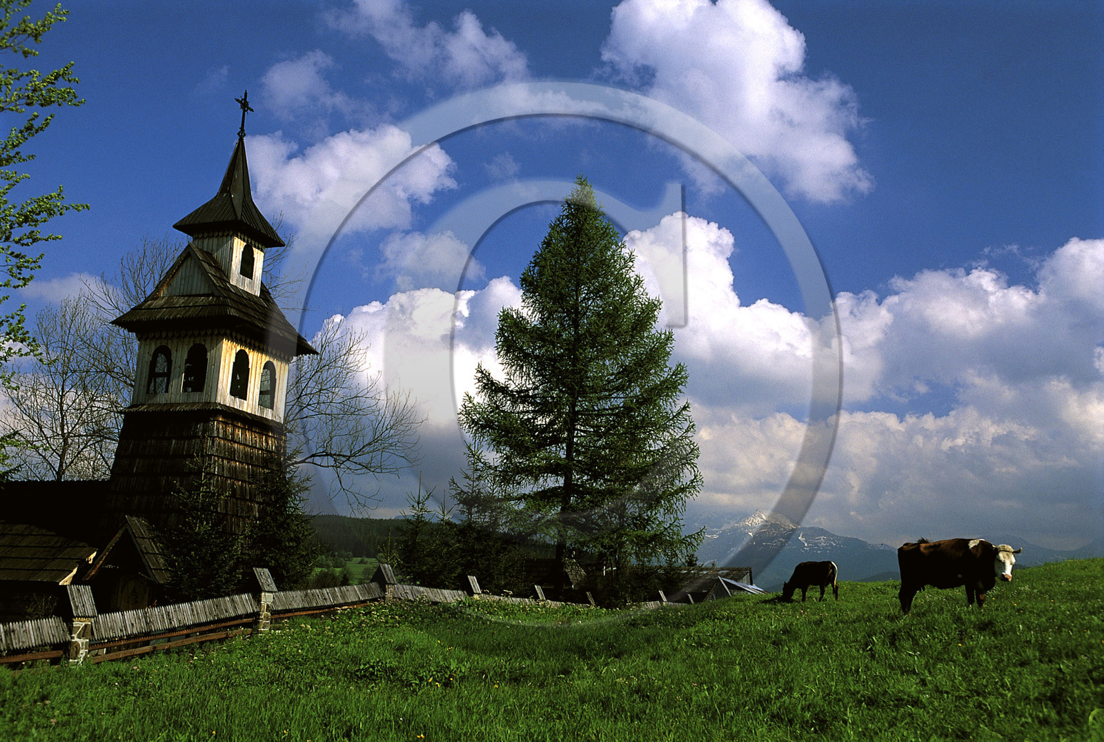 POLOGNE