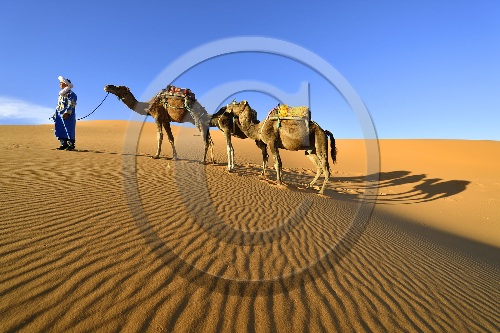 Maroc, Merzouga
