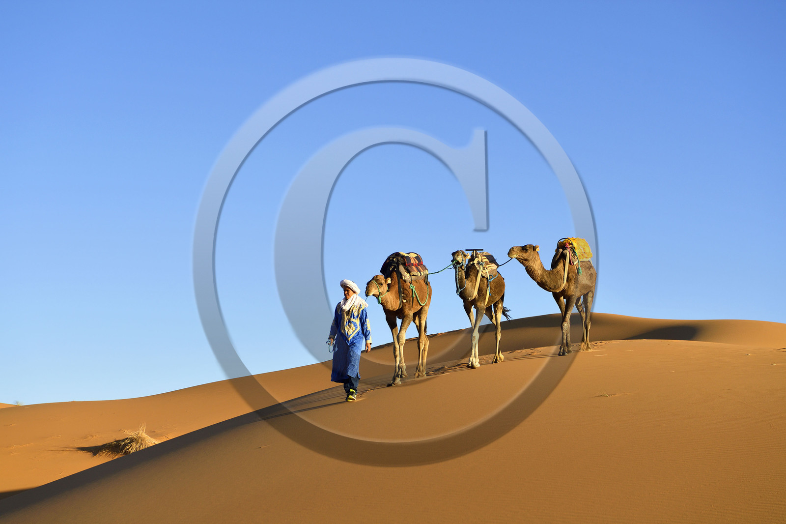 Maroc, Merzouga