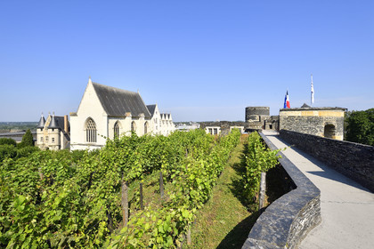 France, Angers