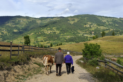 Roumanie, Apuseni