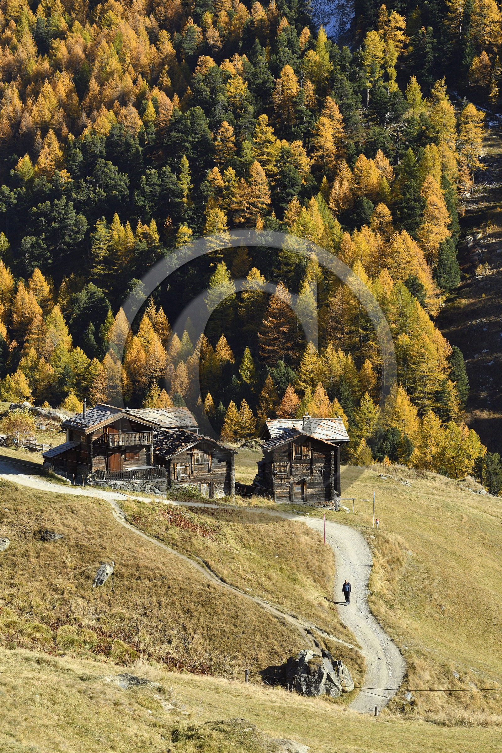 Suisse, Zermatt