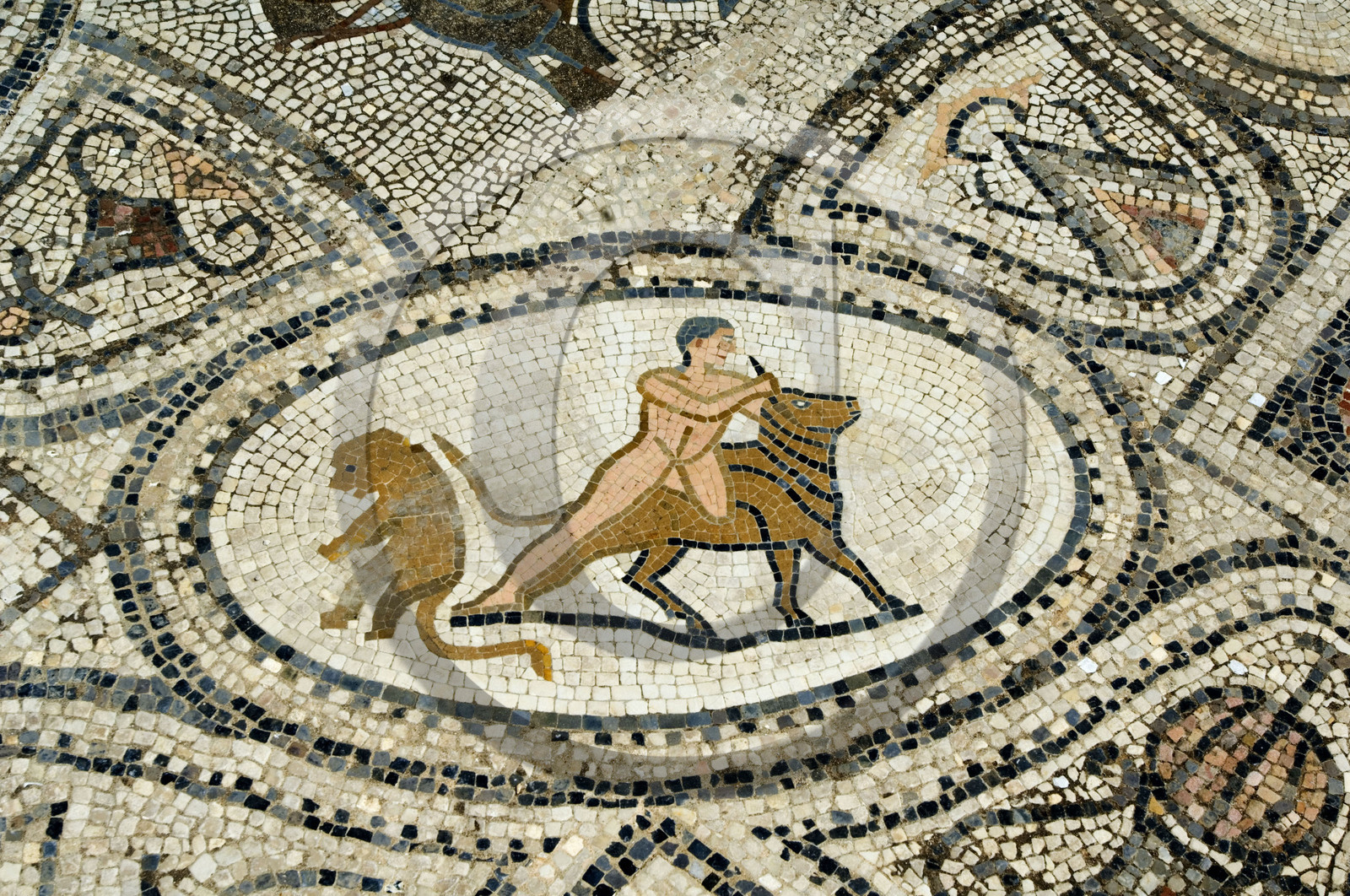 Volubilis, Morokko
