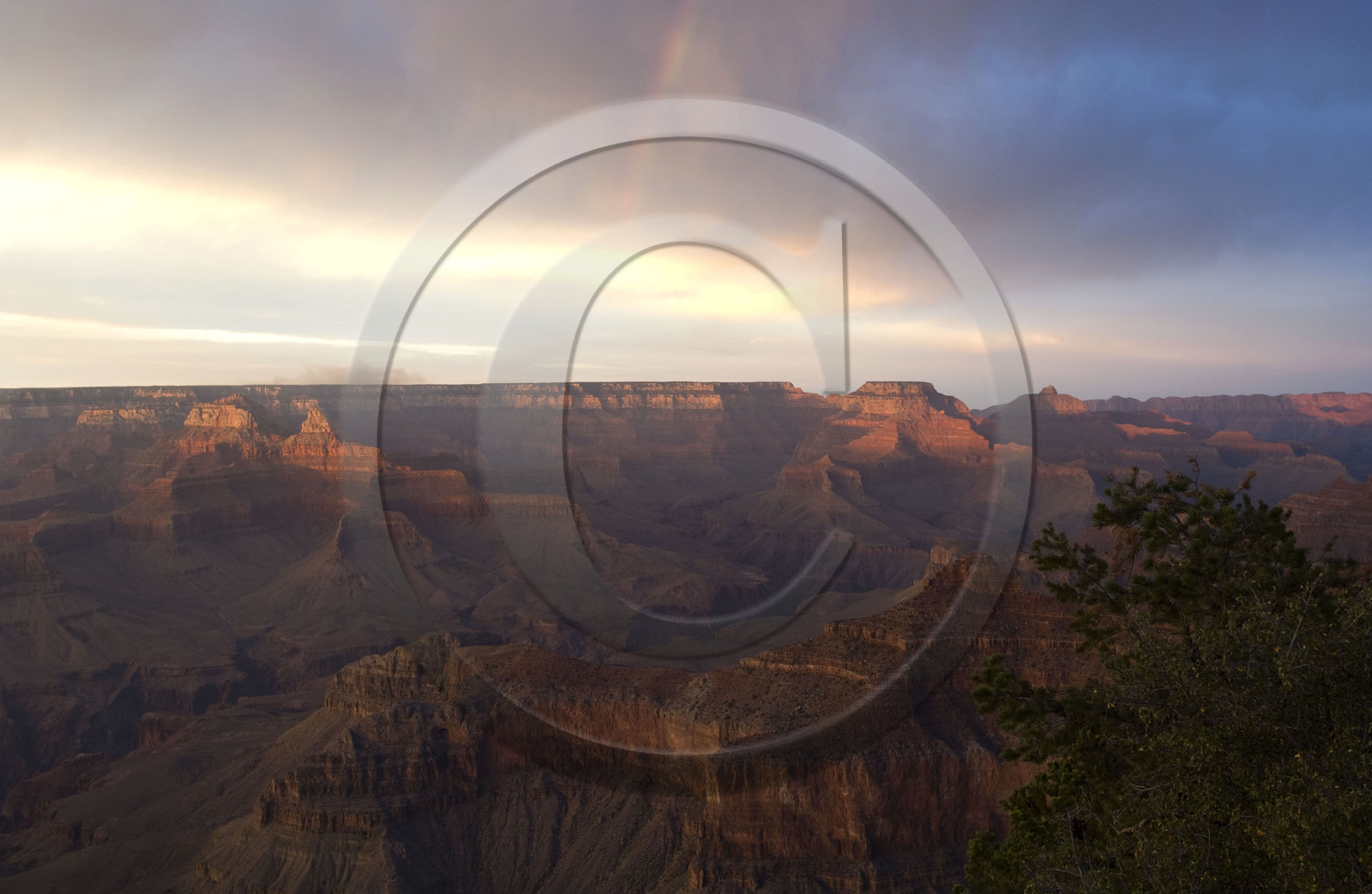 USA, GRAND CANYON