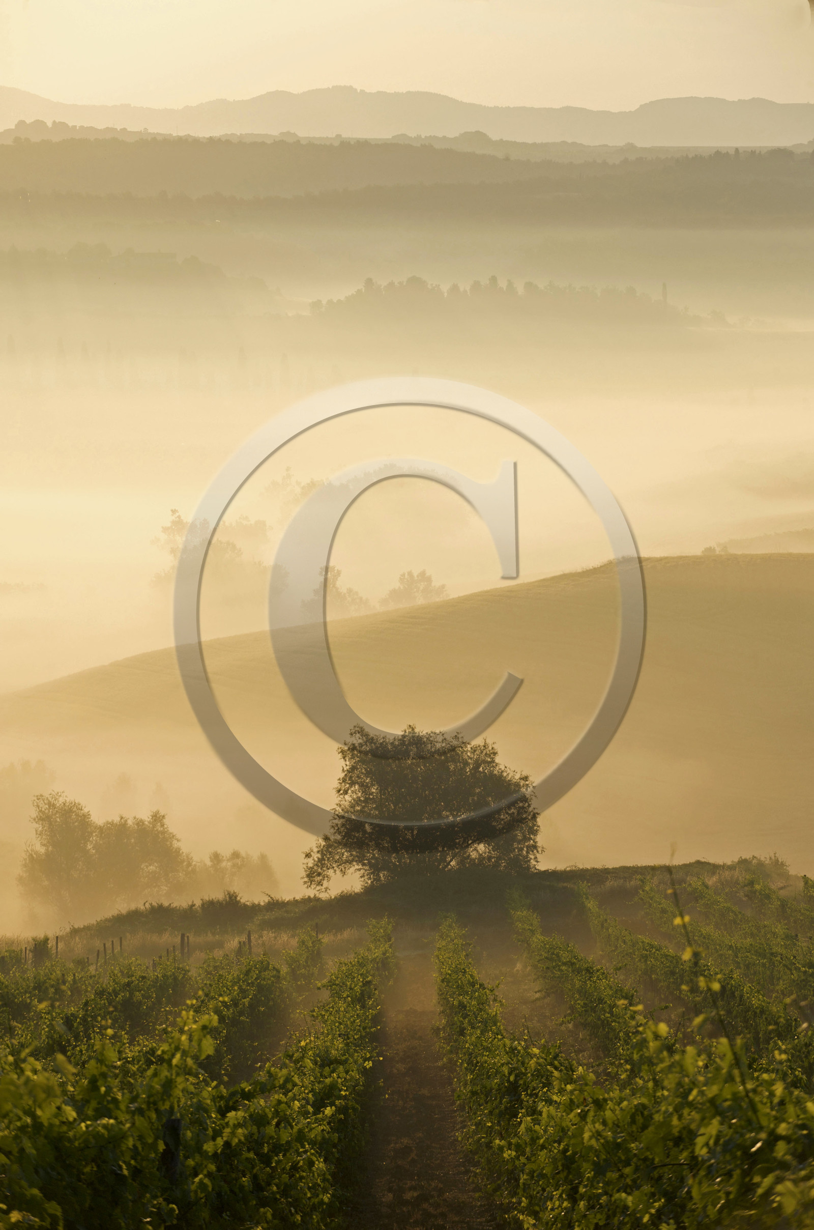 Italie, Toscane