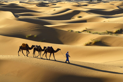 Maroc, Merzouga