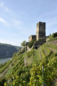 Allemangne, Rhin