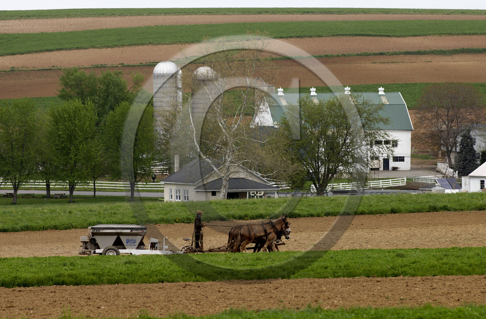 USA, Amish