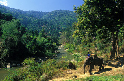 THAILANDE  DU NORD