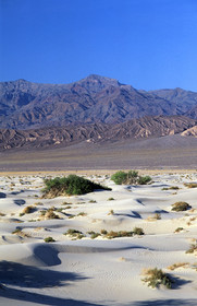 USA West