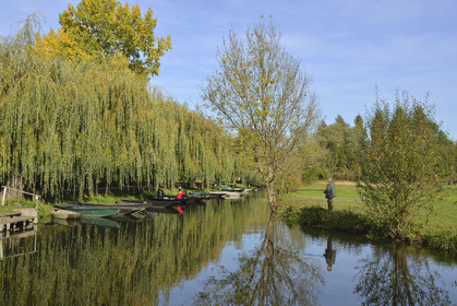 France, Marais Poitevin