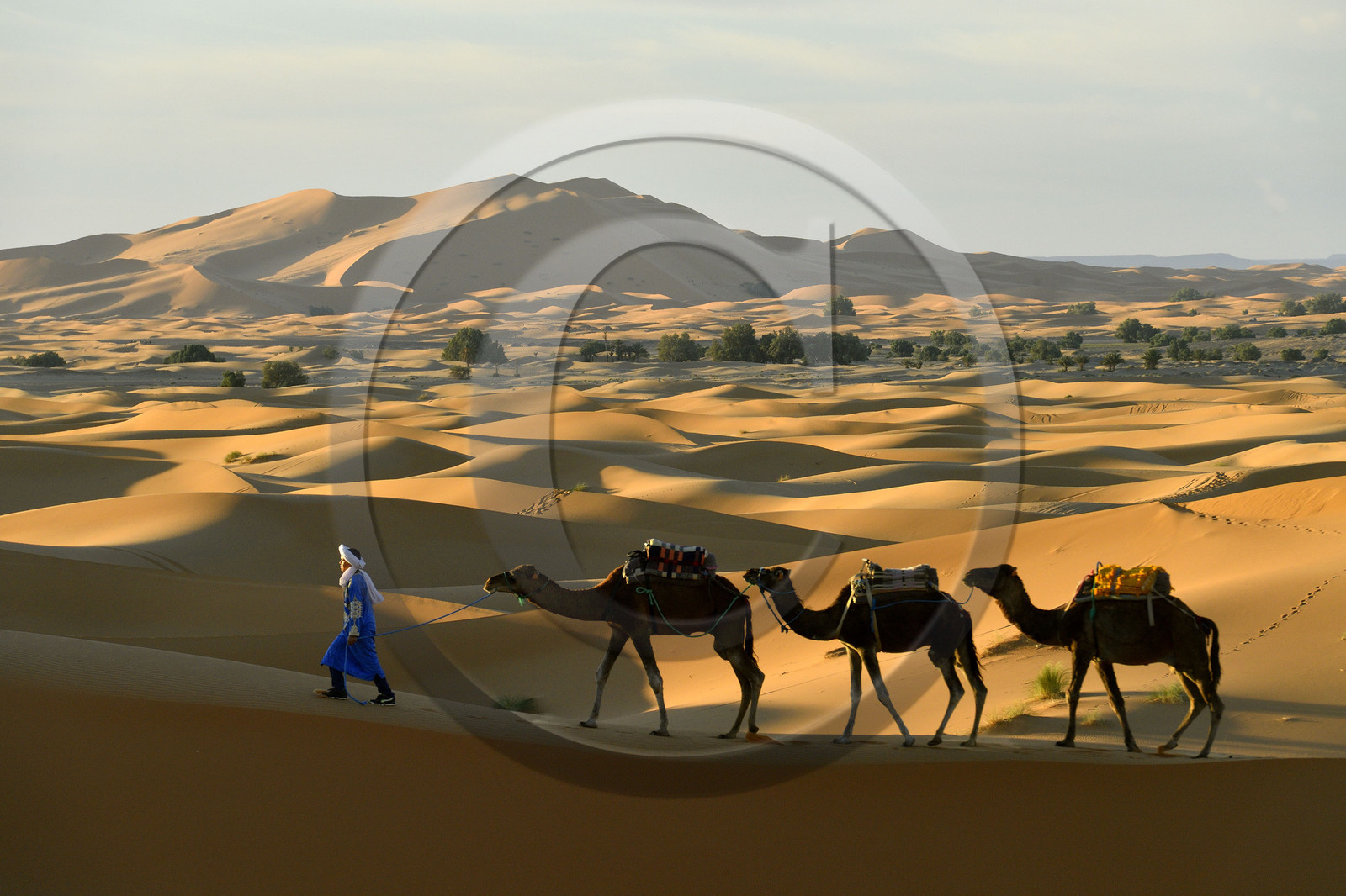 Maroc, Merzouga