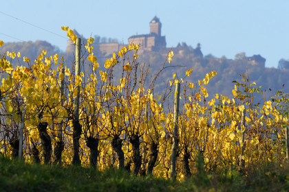 France, Koenigsbourg