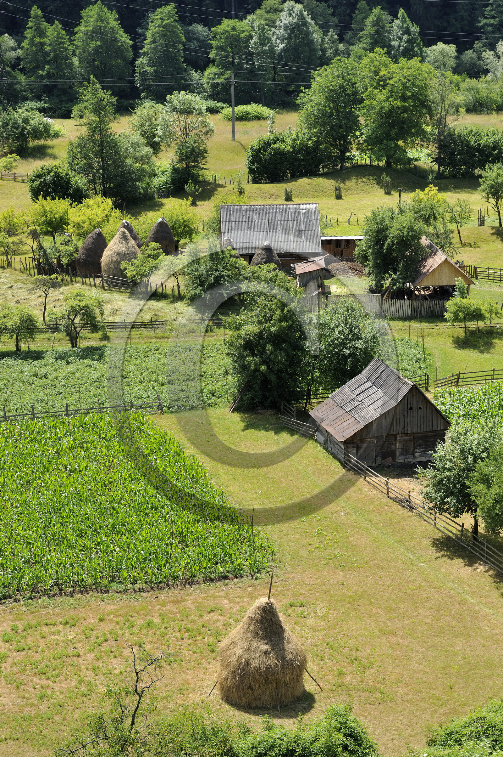 Roumanie, Apuseni