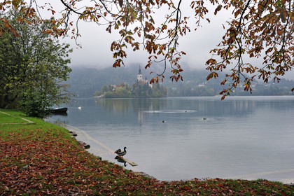 Slovenie, bled