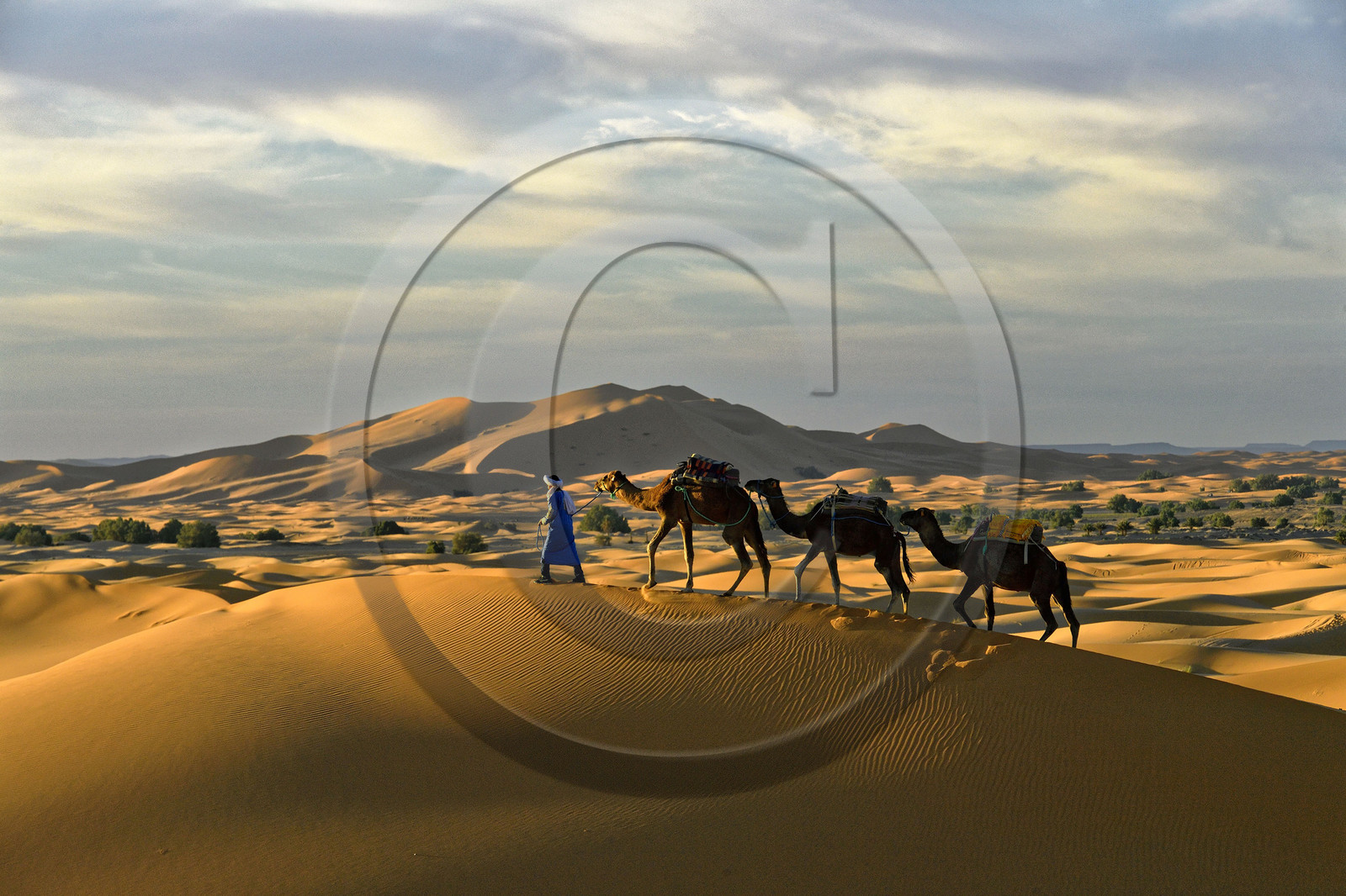 Maroc, Merzouga